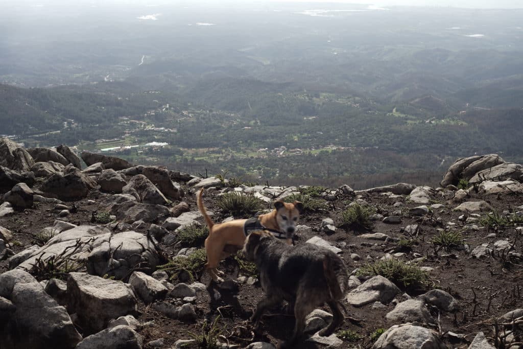 Road-Trip-Portugal-Foia-1024x683